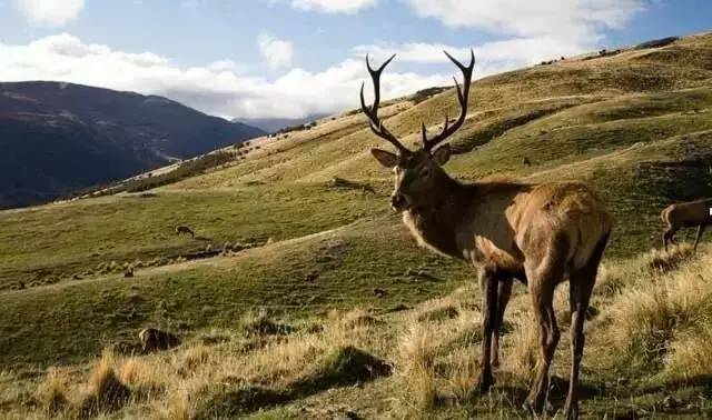 比高跟鞋还洋气的平底鞋,欧美新款超高跟鞋短靴厚底