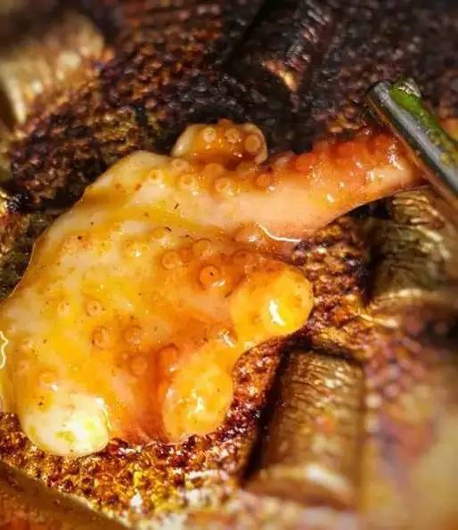 小猪小牛抖音团购比店里便宜吗,小猪小牛团购蚌埠