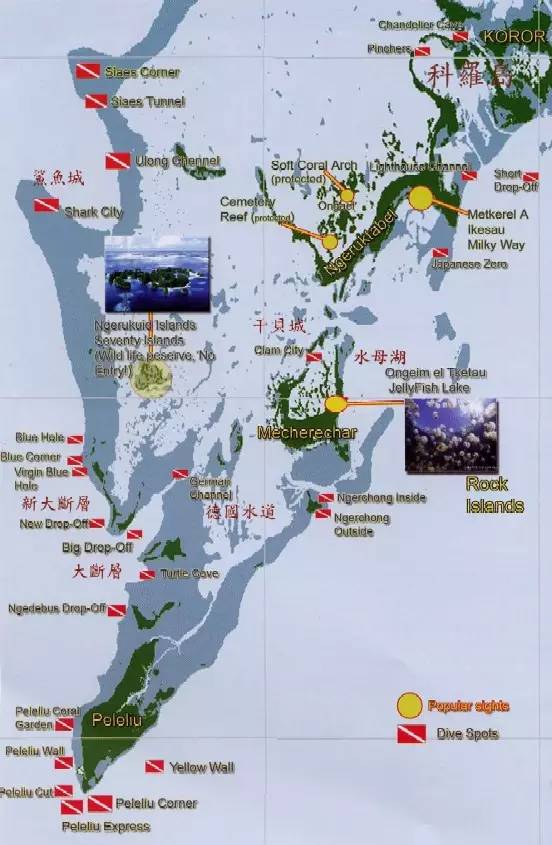 船宿潜水要什么水平,从零开始的潜水教练