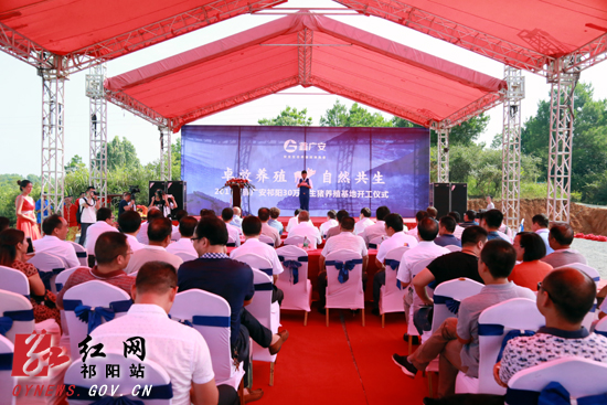 祁阳县鑫广安公司,湖南鑫广安公猪