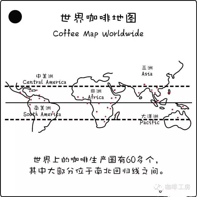 单品咖啡和意式咖啡,咖啡品种科普