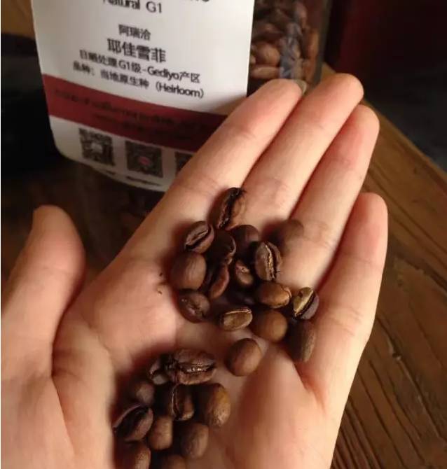 单品咖啡和意式咖啡,咖啡品种科普