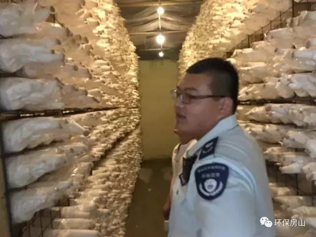 北京最新环保信息,北京环保最新整治工作