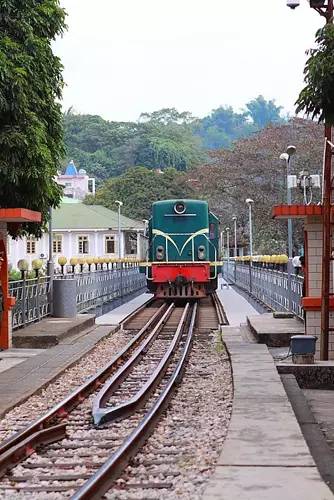 秋色正好邂逅大美河口,美丽的河口一日游