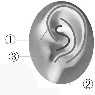 睡前减肚子和腰最快最有效的动作,睡前做好7个动作助你一夜好眠