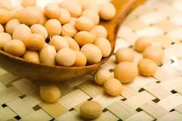 枕头里放一物你会更聪明,枕头里放它一觉睡到大天亮