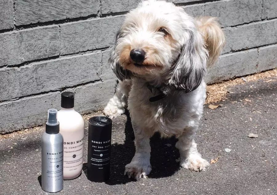 澳洲的家用生活用品哪些最好用,澳洲清洁好物推荐平价