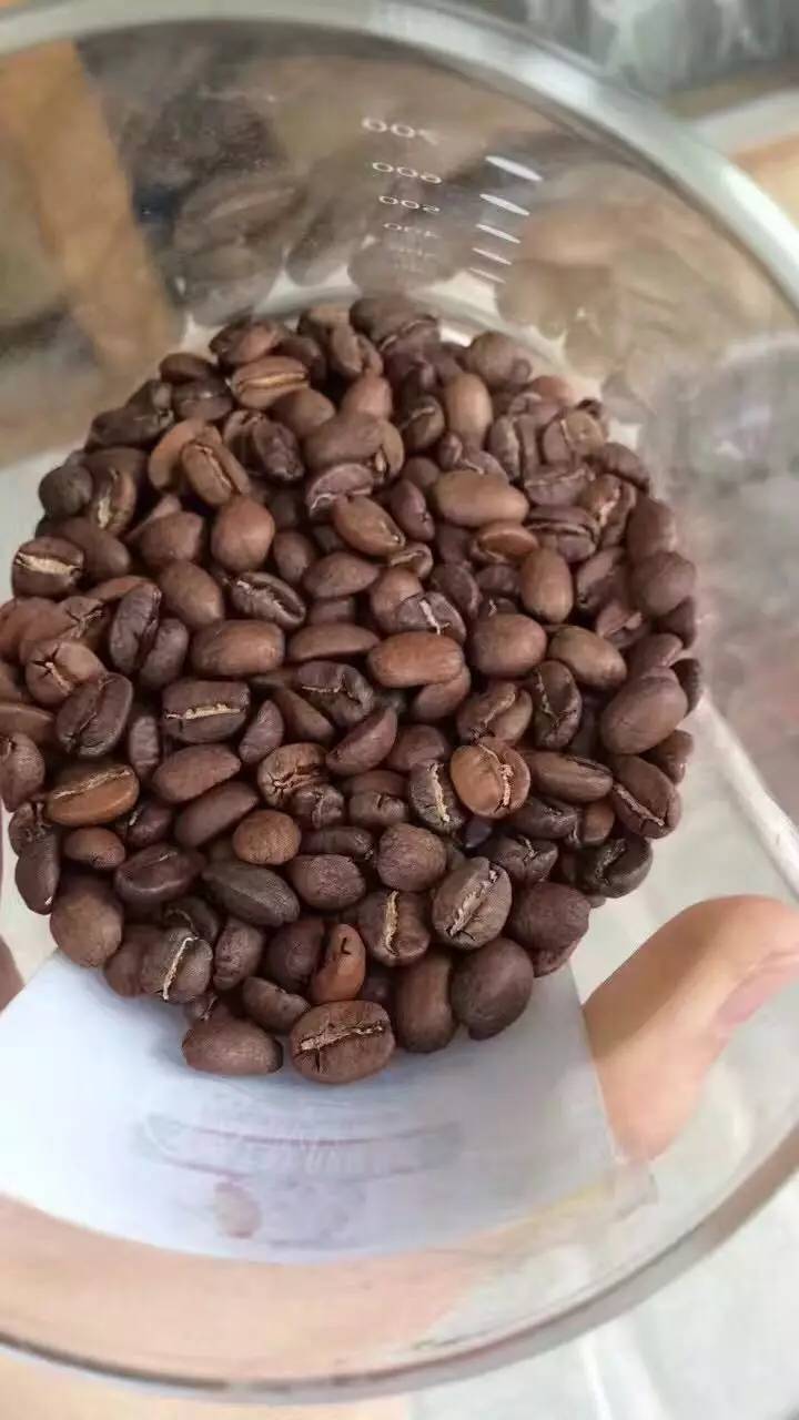 单品咖啡和意式咖啡,咖啡品种科普