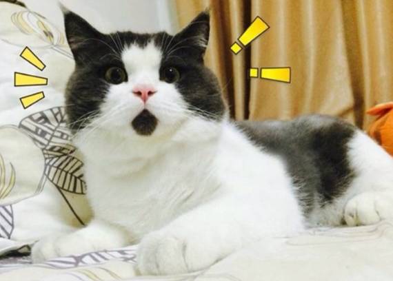 一岁男童吃了它全身发青，还抽出蓝紫色血……医生这样说！