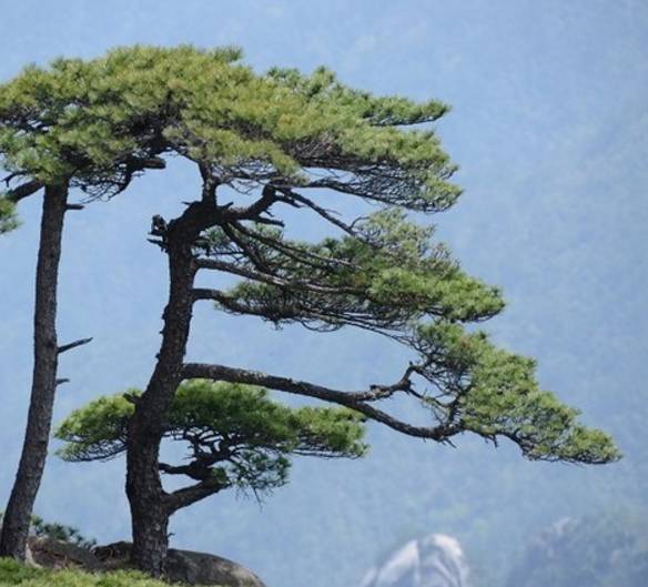 河南的绝美风景,河南附近星空