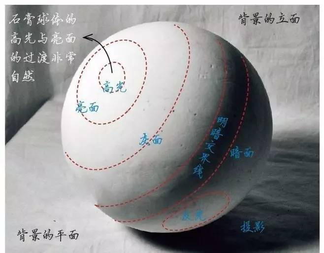 素描静物不会默写,素描不会画光影怎么办