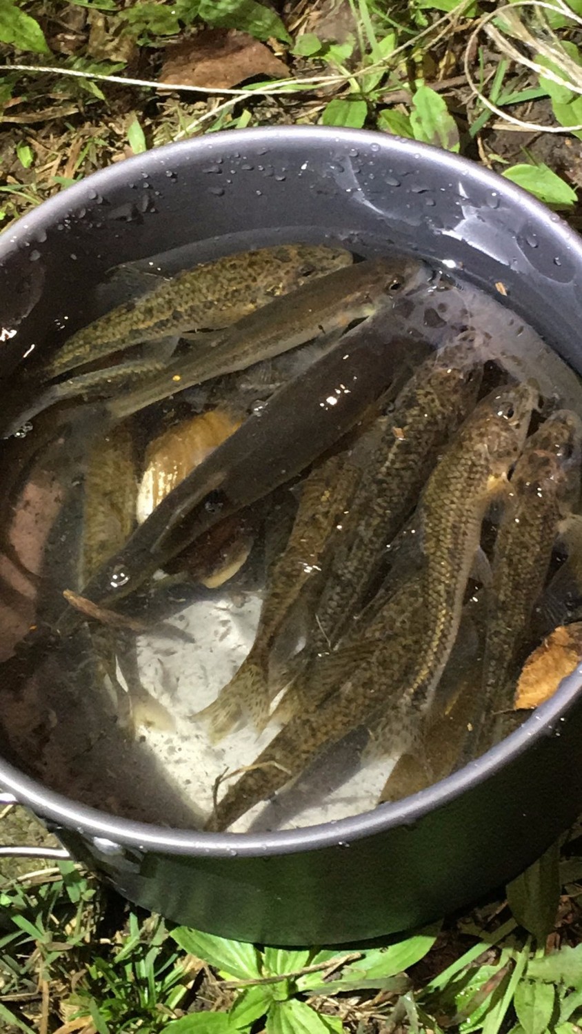 龙聚山庄南区,龙聚山庄全景