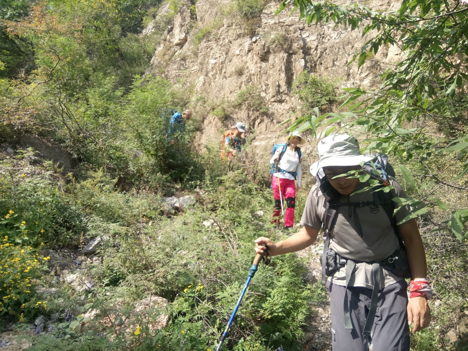 龙聚山庄南区,龙聚山庄全景
