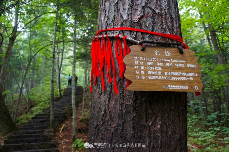 火山口探秘完整视频,镜泊湖地下森林火山口