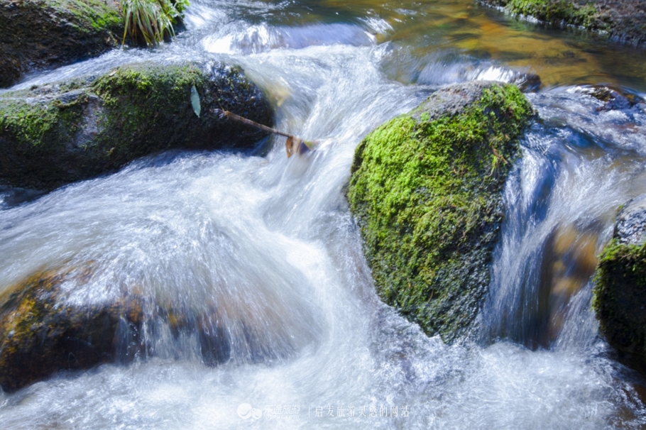 火山口探秘完整视频,镜泊湖地下森林火山口