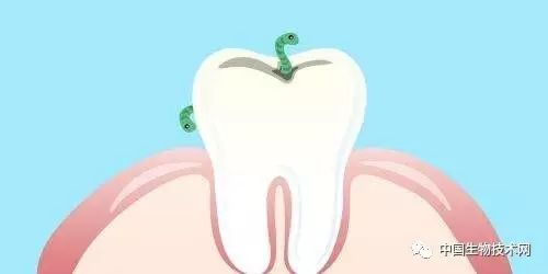 阿司匹林的抗炎机制,阿司匹林的治病原理