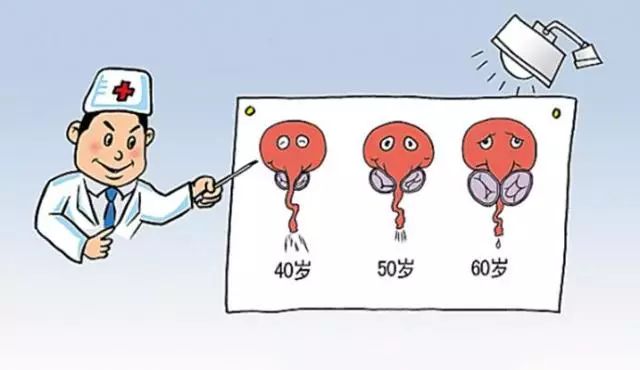 医院看前列腺挂什么科,在医院检查前列腺都检查什么