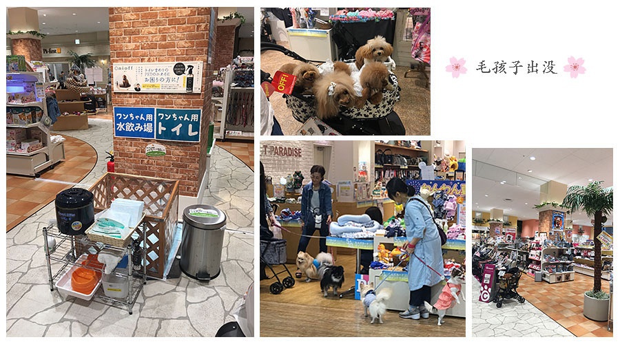 豆瓣日记梓路寺,豆瓣日记大全