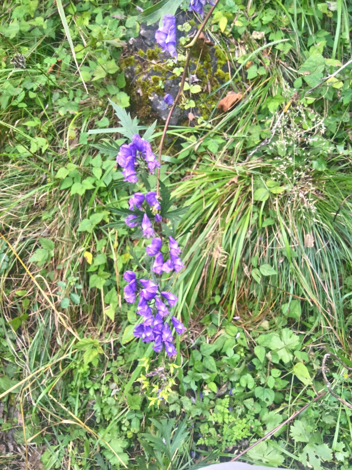 龙聚山庄南区,龙聚山庄全景