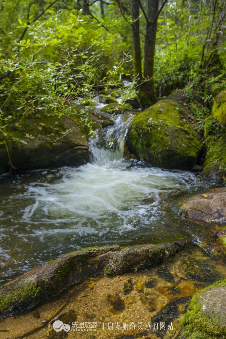 火山口探秘完整视频,镜泊湖地下森林火山口