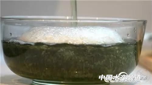 连海都没有见过的人，却靠海参发家致富！