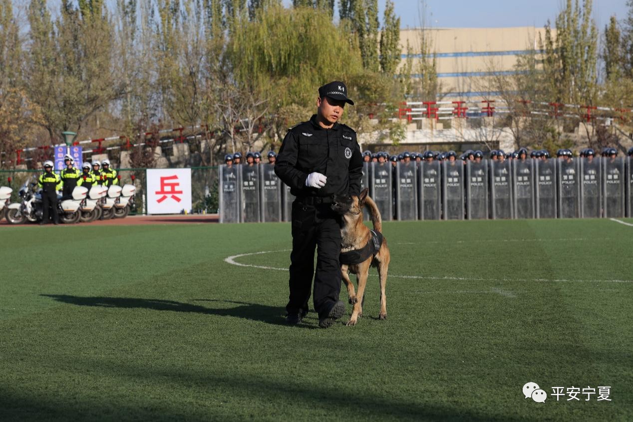 瀹佸鐙楅槦,瀹佸鐙楃嫍澶ч槦