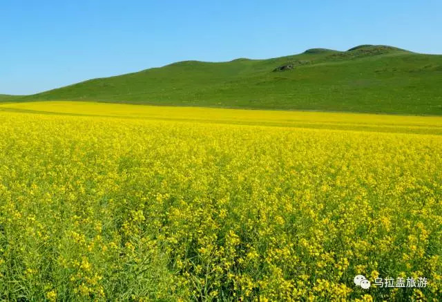 乌拉盖又叫什么,乌拉盖全称