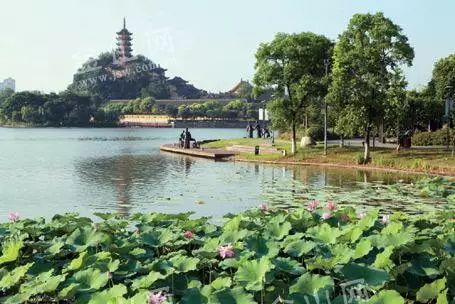 「镇深度」如何只用30元，过一天地道的镇江慢生活！