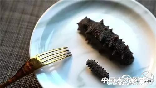 连海都没有见过的人，却靠海参发家致富！