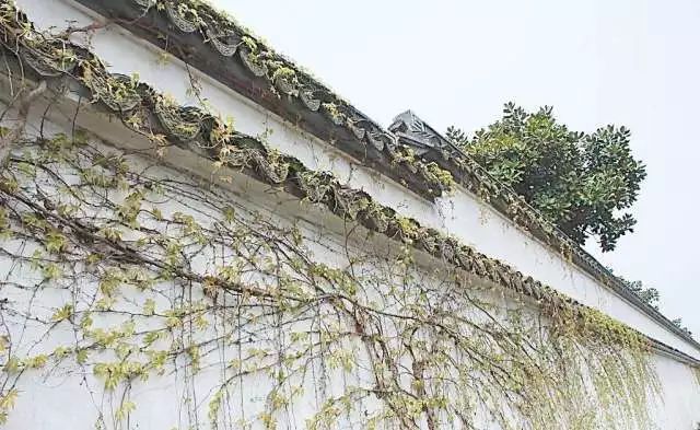 琚仐蹇樼殑鍙ゅ煄闀囨睙,闀囨睙鍙ゅ煄鍙ら晣