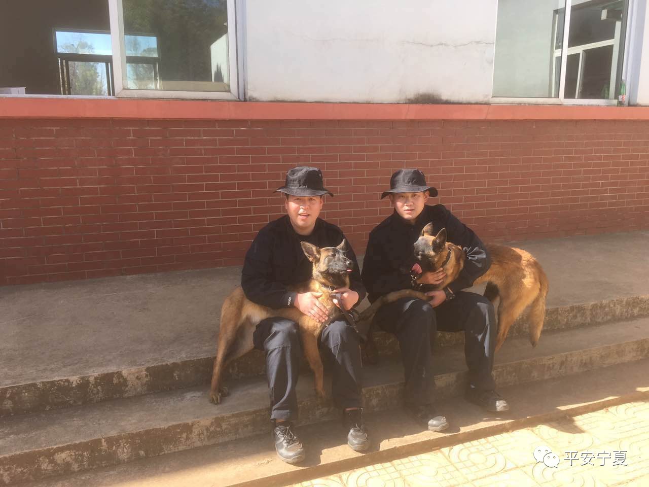 瀹佸鐙楅槦,瀹佸鐙楃嫍澶ч槦