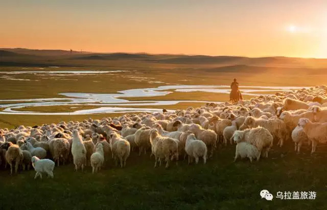 乌拉盖又叫什么,乌拉盖全称