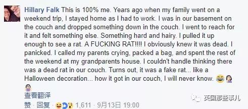 家中发现老鼠洞该怎么解决,如果你在家里发现了老鼠该怎么办