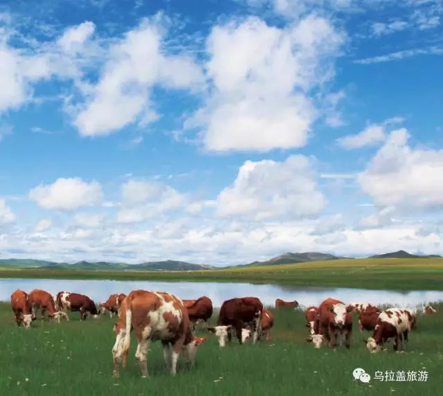 乌拉盖又叫什么,乌拉盖全称