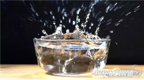 连海都没有见过的人，却靠海参发家致富！