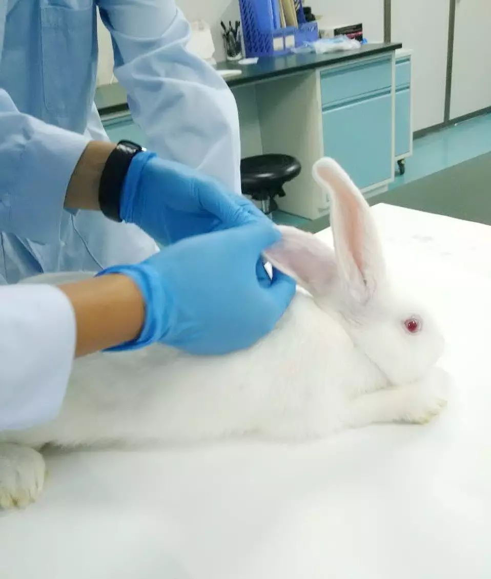 这是一场特殊的葬礼,这是一场特殊的婚礼看哭了数万人