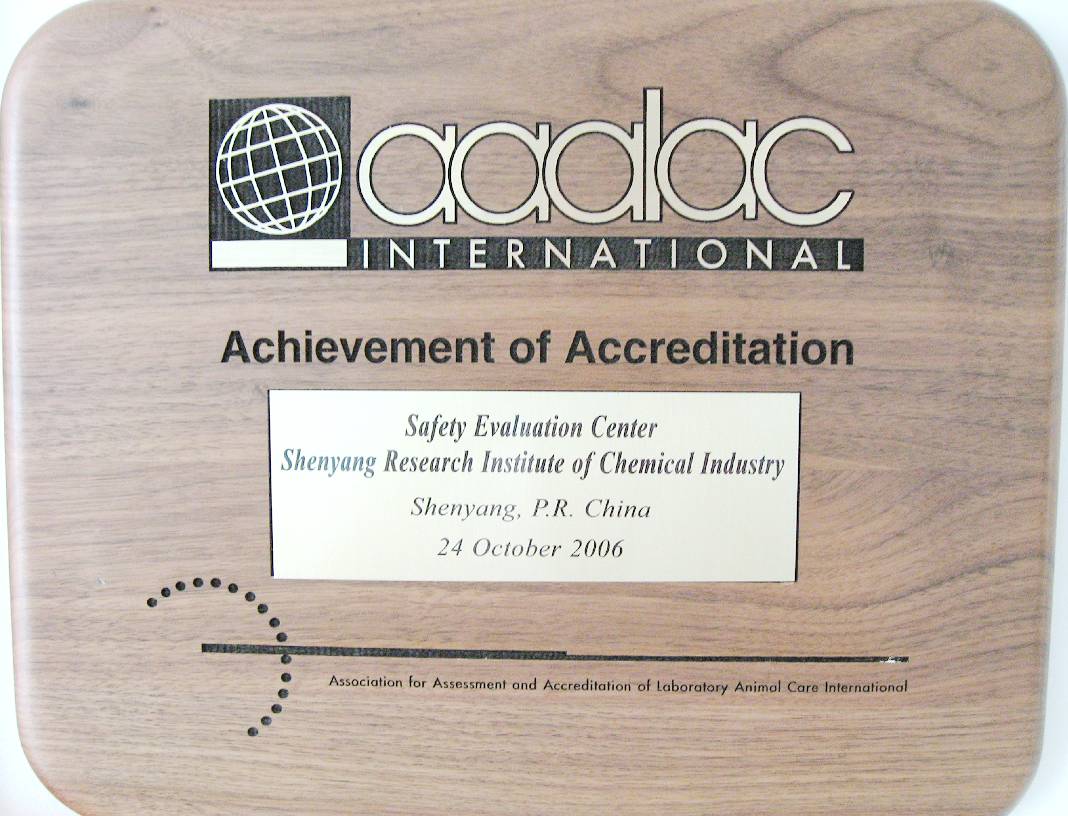 这是一场特殊的葬礼,这是一场特殊的婚礼看哭了数万人