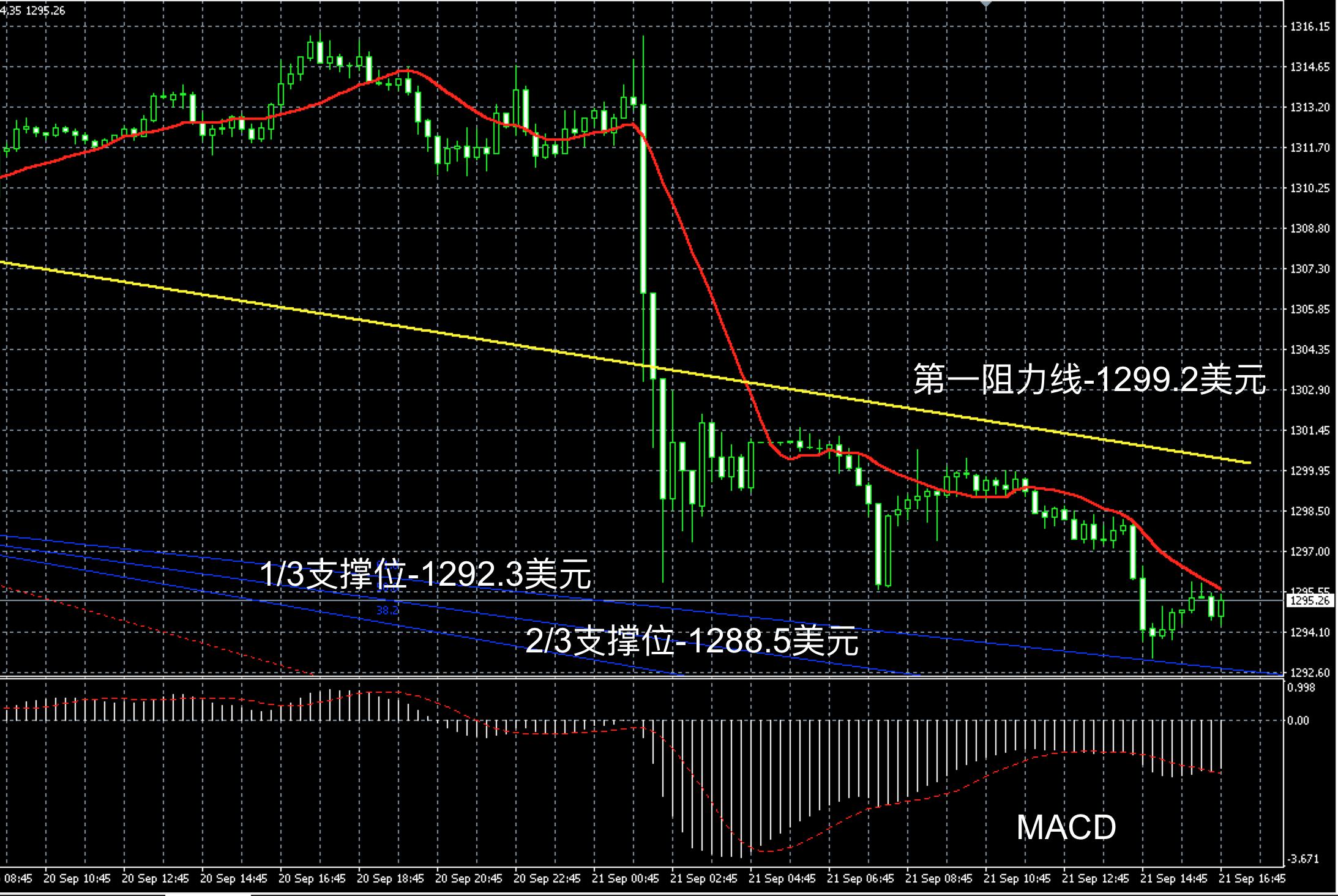 王云斐近期新闻,王云斐