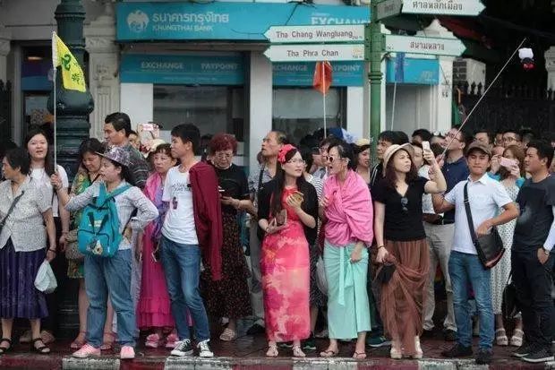 泰国的蛇药真的假的,泰国蛇药的骗局