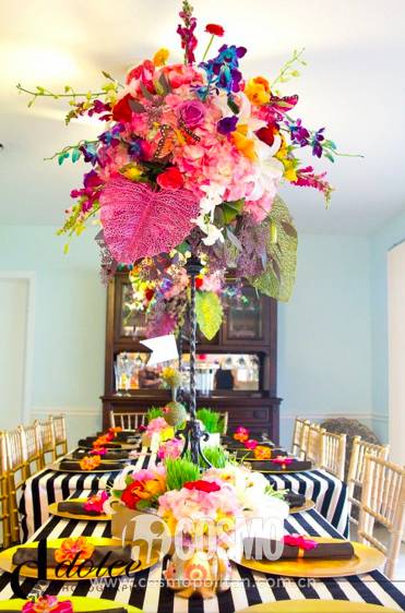 omg好吃的美食,omg高颜值桌布