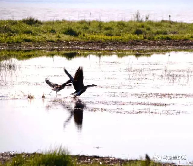 乌拉盖又叫什么,乌拉盖全称