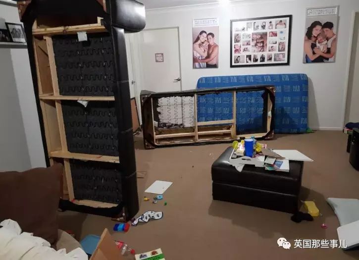 家中发现老鼠洞该怎么解决,如果你在家里发现了老鼠该怎么办