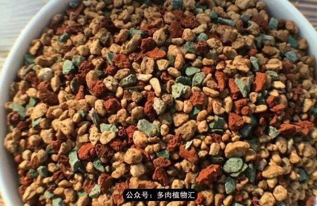 韩国如何养多肉,家庭养多肉用什么施肥