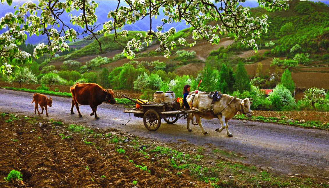 听说翻山越岭才能见到你,听说看懂了就能成功