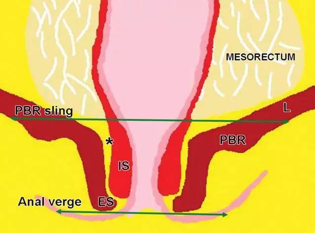 记住一个单词的一般方法,记住癌症九字诀