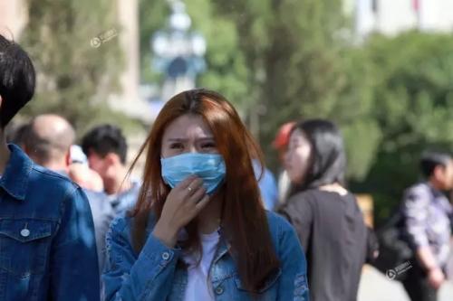 哈市“小咬”突然没了是被花大姐吃了？园林植保专家赵绥林：自然死亡+降温刮风