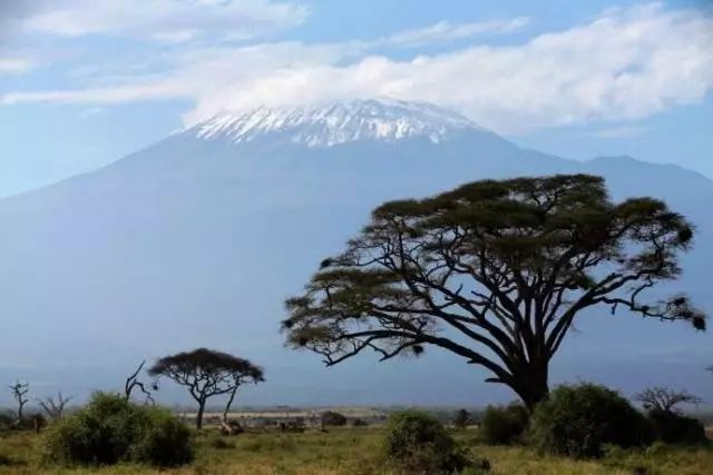 BLACKYAK牛人牛队｜登顶“非洲之巅”