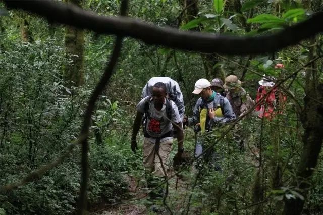 BLACKYAK牛人牛队｜登顶“非洲之巅”