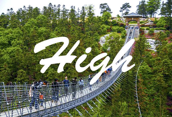 朋友过来玩让我安排怎么安排,朋友来玩两天要怎么安排