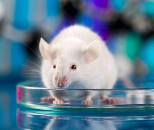 这是一场特殊的葬礼,这是一场特殊的婚礼看哭了数万人